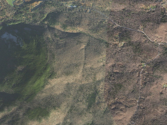 Aerial image of Greenwall Shelter