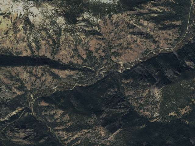 Aerial image of Greylock Camping Area