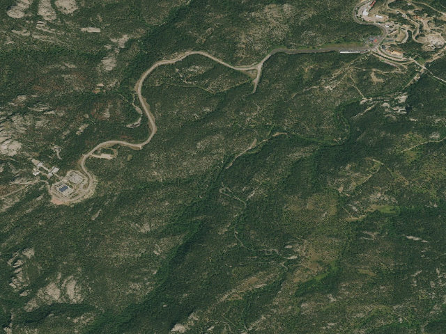 Aerial image of Grizzly Bear