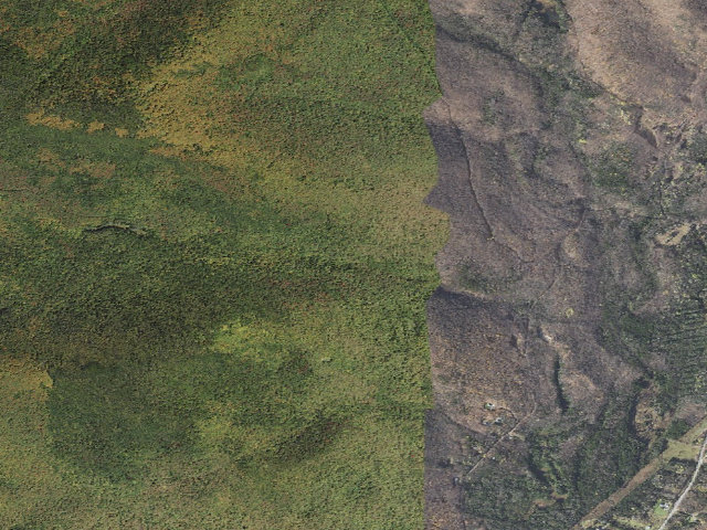 Aerial image of Groton State Forest primitive camping area