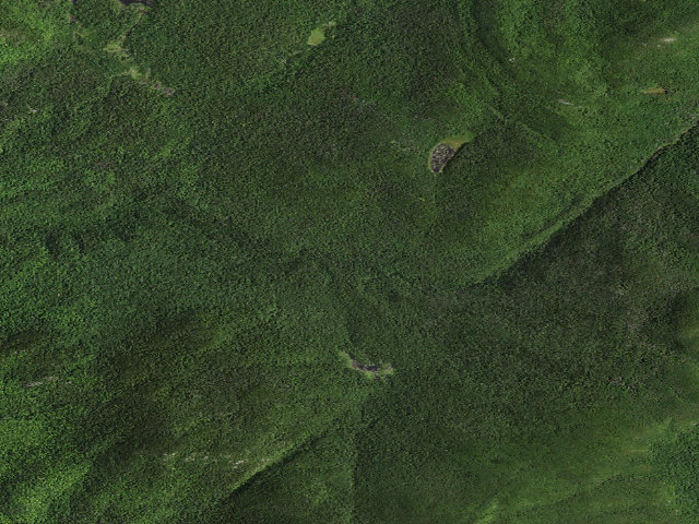Aerial image of Gulf Brook Primitive Camp Sites [DEC #9288] (Hurricane Mountain Primitive Area)