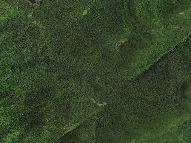 Aerial image of Gulf Brook Primitive Campsites #2 [DEC #9289] (Hurricane Mountain Primitive Area)