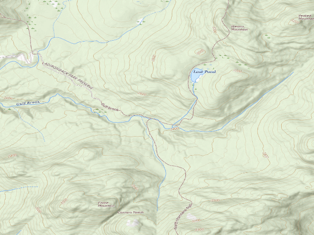 USGS topographic map of Gulf Brook Primitive Campsites #2 [DEC #9289] (Hurricane Mountain Primitive Area)