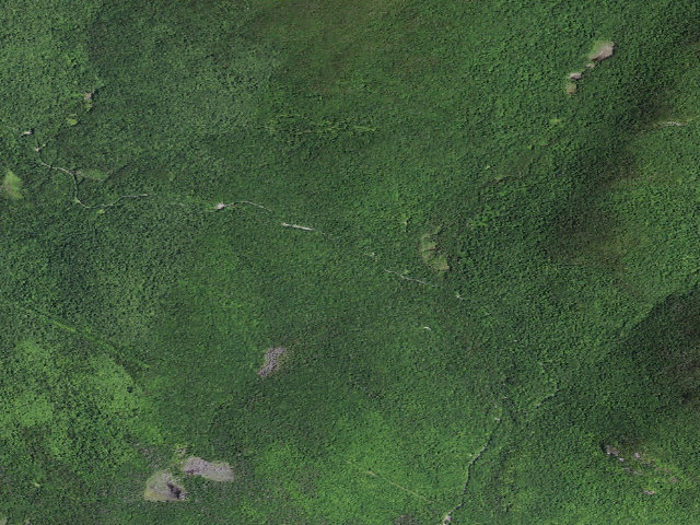 Aerial image of Gulf Brook Road Campsite 1 (Vanderwhacker Mountain Wild Forest)