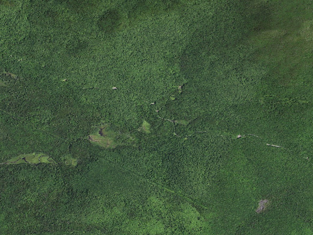 Aerial image of Gulf Brook Road Campsite 3 (Vanderwhacker Mountain Wild Forest)