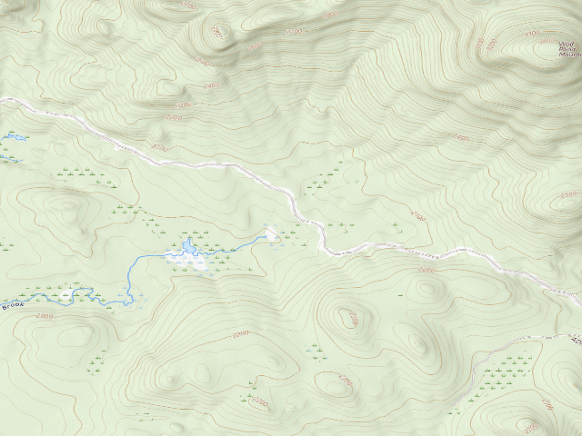 USGS topographic map of Gulf Brook Road Campsite 3 (Vanderwhacker Mountain Wild Forest)