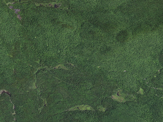 Aerial image of Gulf Brook Road Campsite 4 (Vanderwhacker Mountain Wild Forest)
