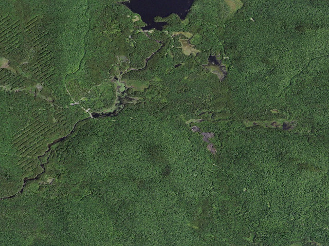 Aerial image of Gulf Brook Road Campsite 5 (Vanderwhacker Mountain Wild Forest)