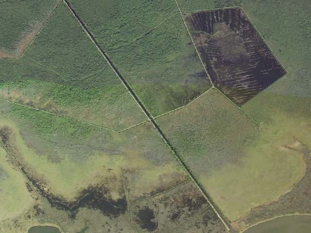Aerial image of Gull Rock Game Land camping area #2
