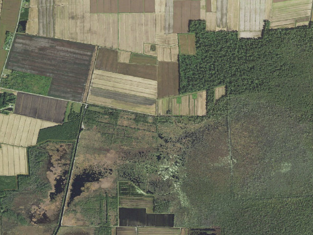Aerial image of Gull Rock Game Land camping area #3