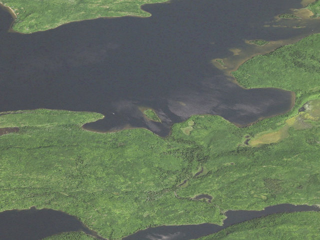 Aerial image of Gunflint Lake Site 3