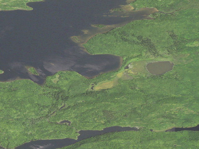 Aerial image of Gunflint Lake Site 4