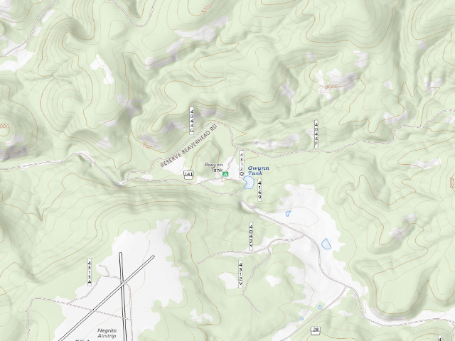 USGS topographic map of Gwynn Tank