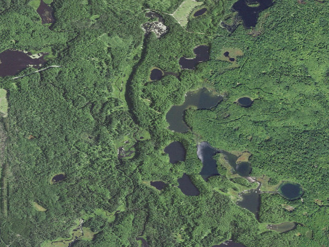 Aerial image of Halfmoon Lake Camping Area