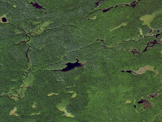 Aerial image of Halfmoon Lake Campsite (Independence River Wild Forest)