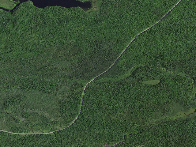 Aerial image of Halfway Brook Campsite (Saranac Lakes Wild Forest)