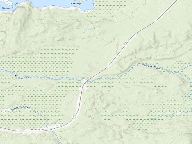 USGS topographic map of Halfway Brook Campsite (Saranac Lakes Wild Forest)