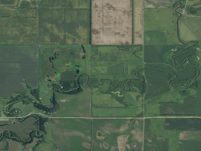 Aerial image of Hamilton Wills WMA (Cass County)