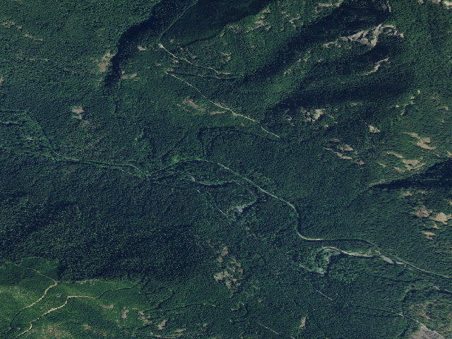 Aerial image of Hamma Hamma