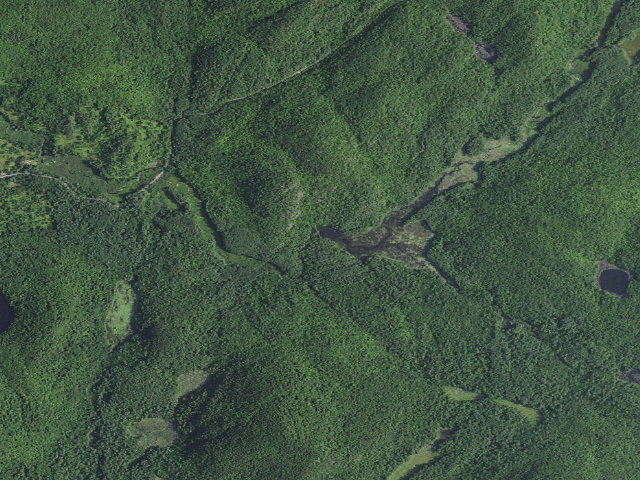 Aerial image of Hammond Pond Tentsite [DEC #5480] (Hammond Pond Wild Forest)