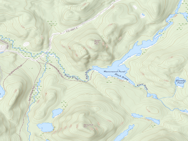 USGS topographic map of Hammond Pond Tentsite [DEC #5480] (Hammond Pond Wild Forest)