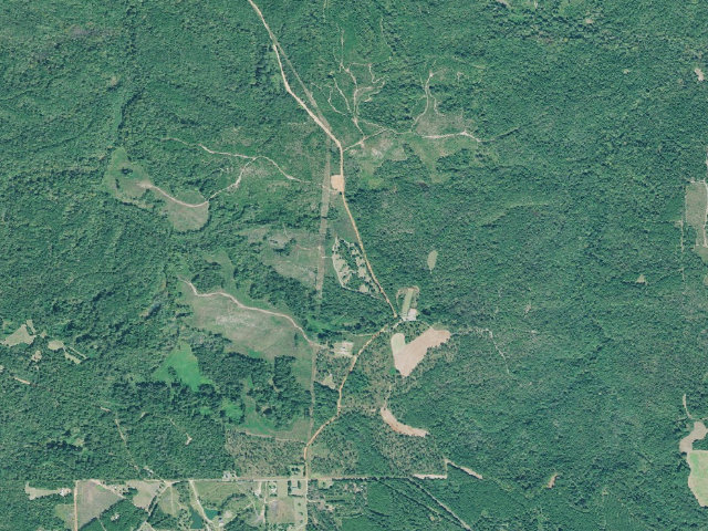 Aerial image of Hannahatchee WMA Primitive Campground #1