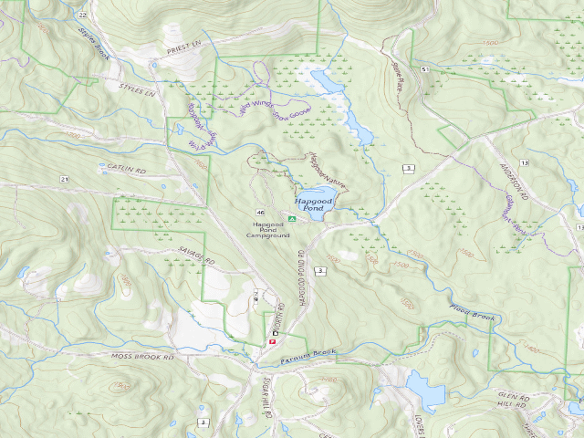 USGS topographic map of Hapgood Pond Campground