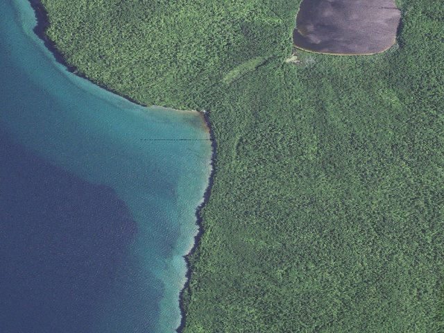 Aerial image of Hardwood Campsite