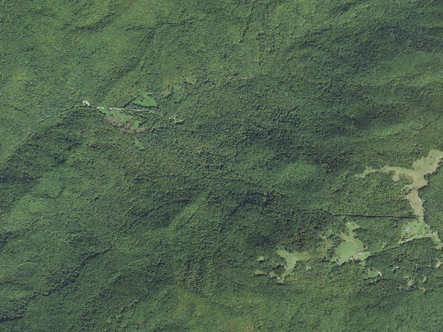 Aerial image of Harmon Den Horse Camp