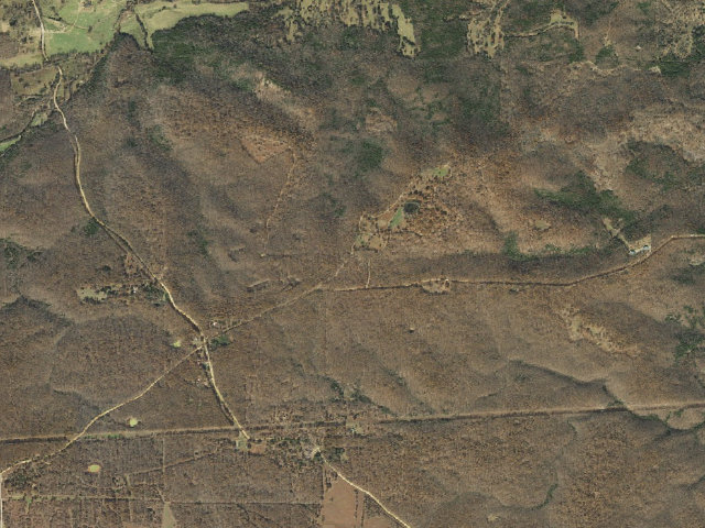 Aerial image of Harold Alexander Camping Area #1 - North Camp