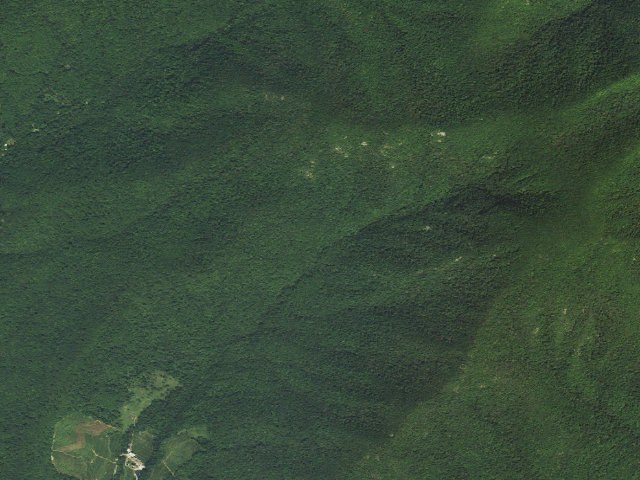 Aerial image of Harpers Creek A.T. Shelter