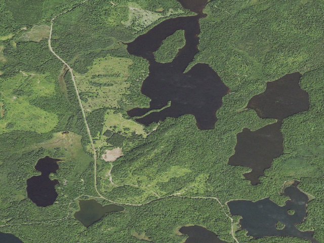 Aerial image of Harriet Lake Rustic Campground