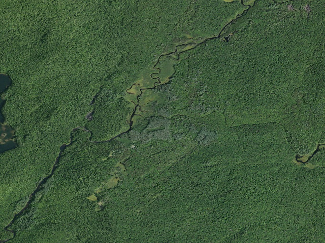 Aerial image of Harrisburg Lake Road Campsite (Wilcox Lake Wild Forest)