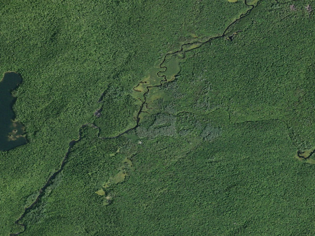 Aerial image of Harrisburg Lake Road Campsite (Wilcox Lake Wild Forest)