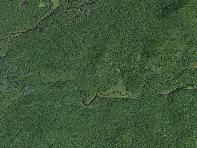 Aerial image of Harrisburg Lake Road Campsite (Wilcox Lake Wild Forest)