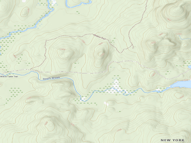 USGS topographic map of Harrisburg Lake Road Campsite (Wilcox Lake Wild Forest)