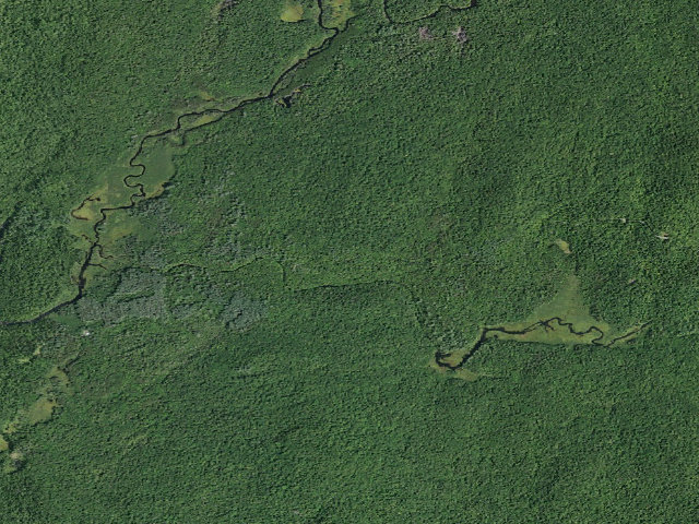 Aerial image of Harrisburg Lake Road Campsite (Wilcox Lake Wild Forest)