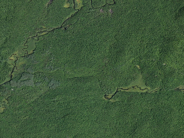 Aerial image of Harrisburg Lake Road Campsite (Wilcox Lake Wild Forest)