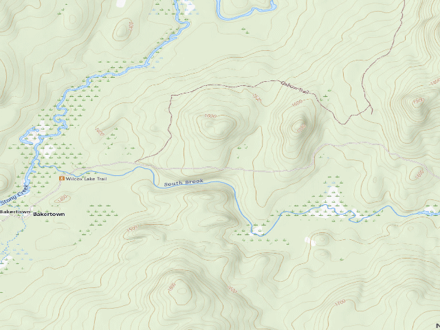 USGS topographic map of Harrisburg Lake Road Campsite (Wilcox Lake Wild Forest)