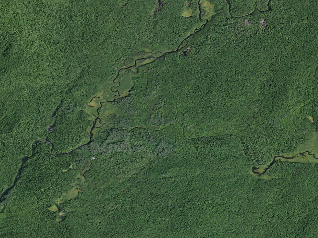 Aerial image of Harrisburg Lake Road Campsite (Wilcox Lake Wild Forest)
