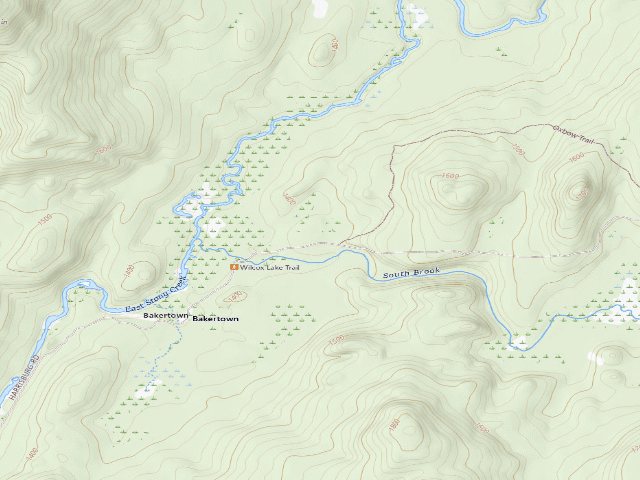 USGS topographic map of Harrisburg Lake Road Campsite (Wilcox Lake Wild Forest)