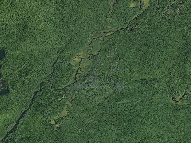 Aerial image of Harrisburg Lake Road Campsite (Wilcox Lake Wild Forest)
