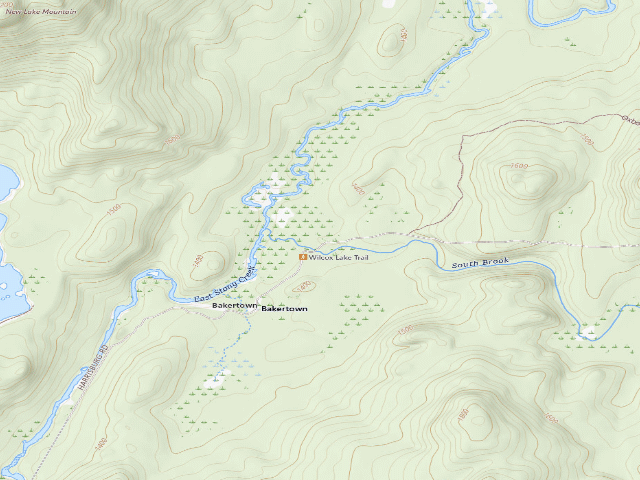 USGS topographic map of Harrisburg Lake Road Campsite (Wilcox Lake Wild Forest)