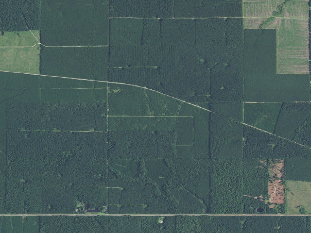 Aerial image of Hart Tract Camping Spot (Herron Family WMA)