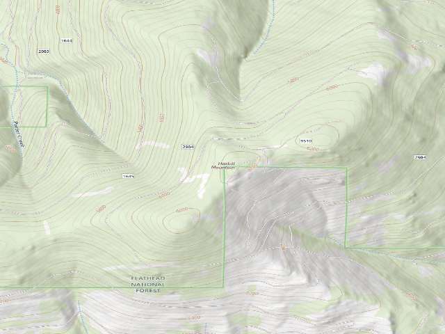 USGS topographic map of Haskill Mountain Top
