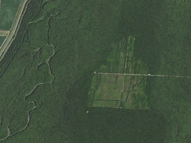 Aerial image of Hatchie Coon Island Camping Area #2