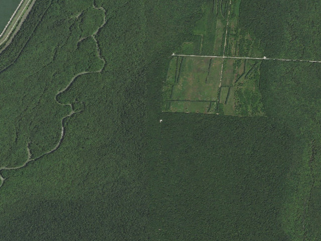 Aerial image of Hatchie Coon Island Camping Area #3