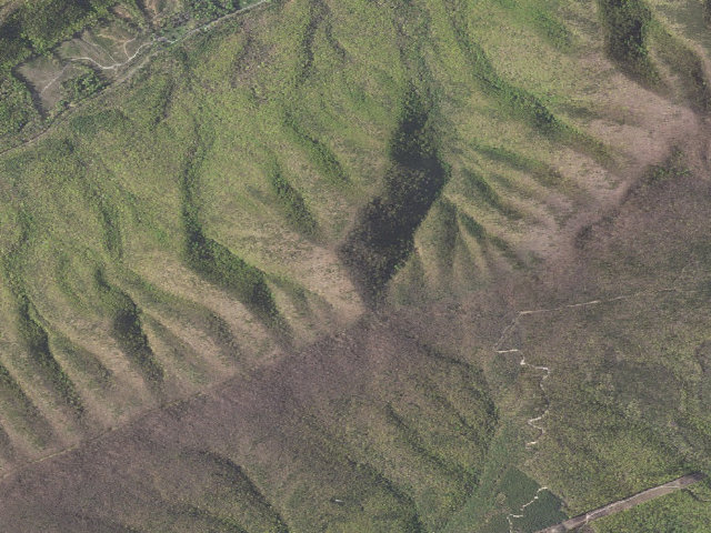 Aerial image of Havens WMA