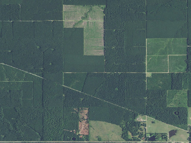 Aerial image of Haze Hollaway Camp Spot (Herron Family WMA)