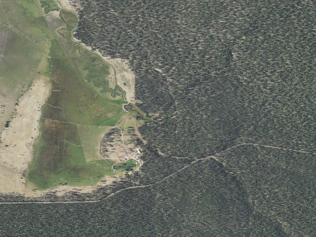 Aerial image of Head of the River Forest Camp
